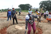 Recoges lo que siembras, proyectos que se construyen con la comunidad