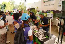 Cali Distrito Verde, una apuesta ambiental desde el territorio