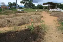 Un malecón fructuoso de amor en el río Cauca