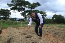 Un malecón fructuoso de amor en el río Cauca