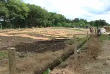 Un malecón fructuoso de amor en el río Cauca