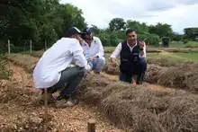 Un malecón fructuoso de amor en el río Cauca