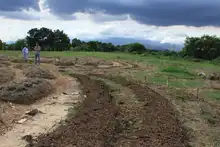 Un malecón fructuoso de amor en el río Cauca