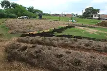 Un malecón fructuoso de amor en el río Cauca