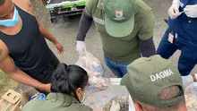 La cultura ambiental se toma el Festival Petronio Álvarez