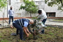 Dagma aporta un importante legado ambiental al Parque Central Río Cali