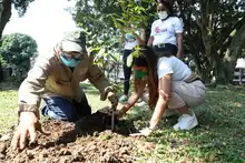 Los árboles urbanos son el patrimonio ambiental de la ciudad  