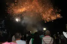 Se inauguró la fiesta incluyente de la Feria