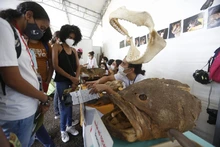 Ciudad Alegría, un espacio para disfrutar la Feria de Cali en Familia
