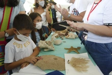 Ciudad Alegría, un espacio para disfrutar la Feria de Cali en Familia