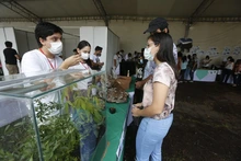 Ciudad Alegría, un espacio para disfrutar la Feria de Cali en Familia