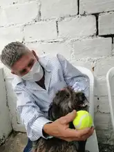 Atención diferencial para habitantes de calle con animales de compañía, uno de los ruteros para el 2022