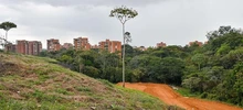 Reserva Ecológica Distrital Cuenca Media del Río Lili, área protegida para Cali y su biodiversidad 
