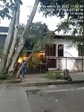 Aclaraciones sobre tala de árboles en el barrio Granada 