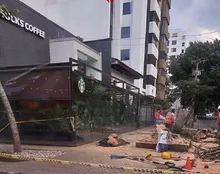 Aclaraciones sobre tala de árboles en el barrio Granada 
