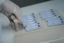 Puntos polivalentes y polifuncionales