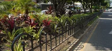 Más separadores viales con mucha naturaleza para Cali 