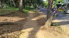 Evalúan intervención en adoquines del Parque Capri