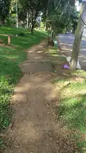 Evalúan intervención en adoquines del Parque Capri