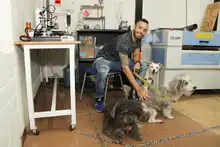 Más de 25 espacios públicos culturales de Cali serán amigables con los animales