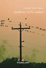 Lanzamiento de Cali, territorio literario. Siete libros de siete autores caleños