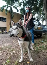Los animales de compañía, amigos de la salud mental