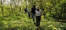 Día Mundial de la Educación Ambiental en el Corazón de Pance 