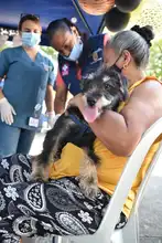 Caleños respondieron positivamente  a jornada interespecies 