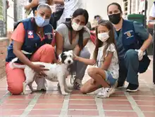 Caleños respondieron positivamente  a jornada interespecies 