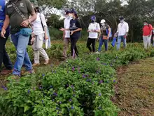 Corazón de Pance transforma espacios para la vida