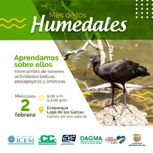 Actividad especial de Celebración Día de los Humedales en Ecoparque Las Garzas 
