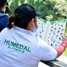 En Cali, los vecinos acompañan al Dagma en el cuidado y protección de 61 humedales 