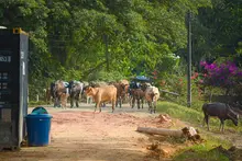 De la mano de 400 familias de Navarro, avanza proyecto movilizador ‘Viviendas Rurales Productivas’