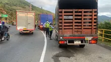 Operativos de control a camperos y gualas en diferentes puntos de Cali
