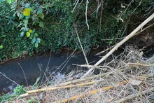 Imponen medidas preventivas para proteger cuenca del río Pance