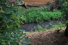 Imponen medidas preventivas para proteger cuenca del río Pance