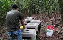 Liberados este año 94 animales silvestres