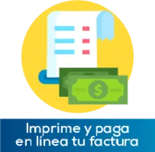 Imprime y paga en línea tu factura de impuestos y contribuciones