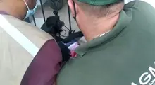La fauna silvestre no es mascota