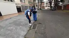 Reporte de Inicio del año sobre el dengue, es positivo 