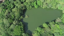 Ecoparque Lago de Las Garzas, cuna de la biodiversidad 