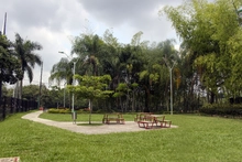 Un nuevo pulmón verde se habilita en el sur de la ciudad