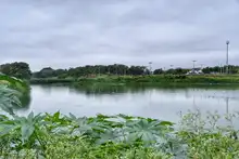 Humedal Charco Azul, un lugar ideal para el avistamiento de aves en el oriente de Cali