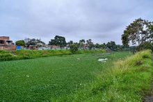 Reconociendo los humedales urbanos de la capital vallecaucana