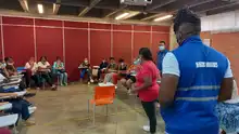 Para ampliar información clic en el icono de Expandir (Abajo)