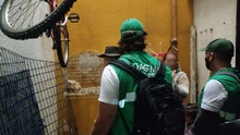 Continúan aprehensiones de fauna silvestre 