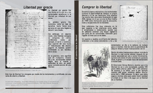 Cartilla ‘Camino hacia la Libertad’