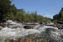 Corazón de Pance orienta su gestión hacia la reconciliación ambiental, social y cultural con nuestro río Pance.
