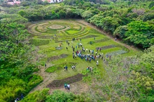 Llegar al Parque Ambiental Corazón de Pance implica reconectarse con los sentidos, respirar aire puro con una ola de frescura que embarga los pulmones; escuchar el canto melodioso de más de 268 especies de aves y el sonido relajante del emblemático río Pa