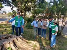 Un bosque con 4.100 árboles será entregado a la Comuna 21